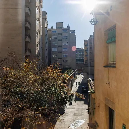 Bravissimo Maragall, Very Spacious And